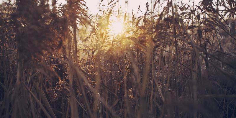 徐州高新31：科技企业集聚新高地，驱动区域产业升级新引擎