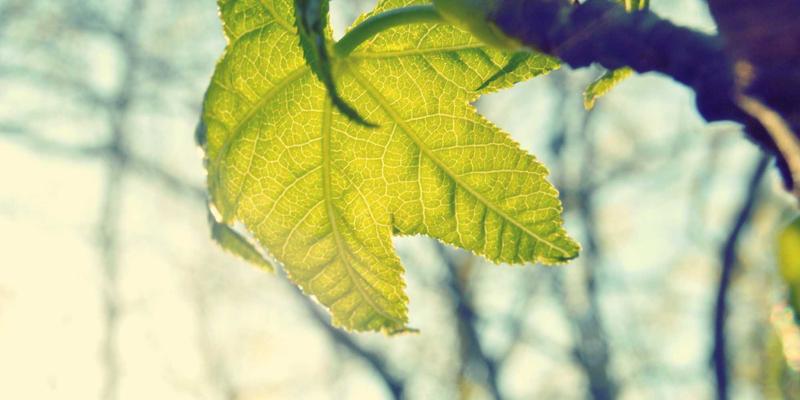 徐州高新38：以科技创新为引擎，驱动区域经济高质量发展