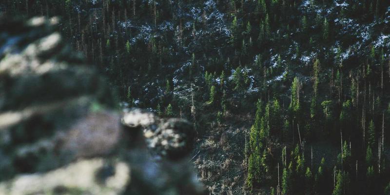 徐州高新5:科技创新驱动下的高新技术产业新引擎