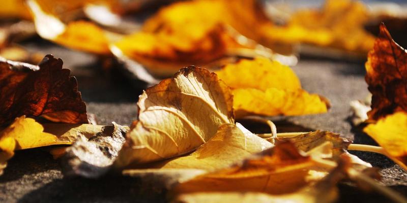 徐州高新区土地集约利用与标准厂房建设：科技创新企业落地的坚实保障