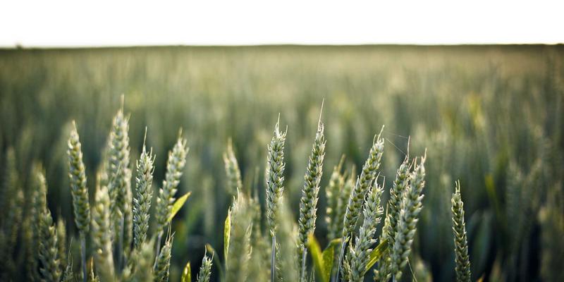 徐州高新区智能制造标杆案例：数字化车间如何驱动科技企业高质量发展