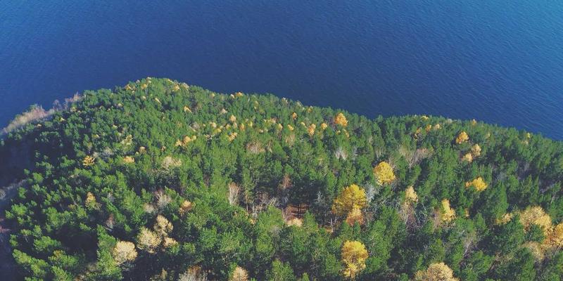 徐州高新区现代物流枢纽建设：如何以高新技术驱动制造业升级与区域协同