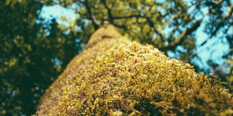 徐州高新区科技金融创新实践：知识产权质押贷款与科技保险如何赋能高新技术企业