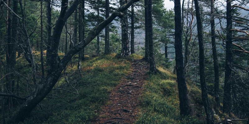 科技创新驱动下的徐州高新区‘一区多园’发展模式深度解析