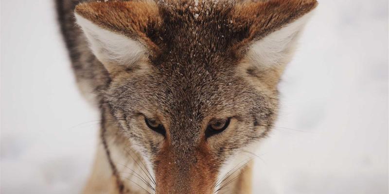 科技创新驱动未来：探秘徐州高新区人工智能与机器人产业的崛起之路