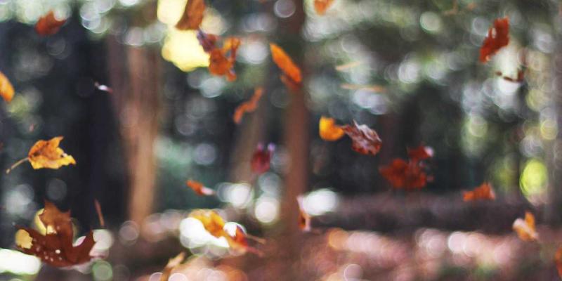 科技创新驱动未来：探秘徐州高新区半导体材料与设备产业集群的崛起与蓝图