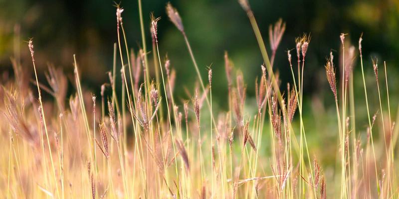 科技创新驱动转型：徐州高新区工业互联网平台赋能传统制造业数字化升级案例研究